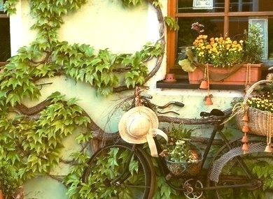 Flower Shop, Provence, France 