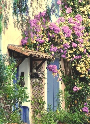 Floral Entry, Grimaund, Provence, France