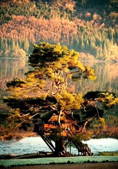 Tree House Lodge, Loch Goil, Scotland