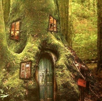 Tree House, The Magic Forest
