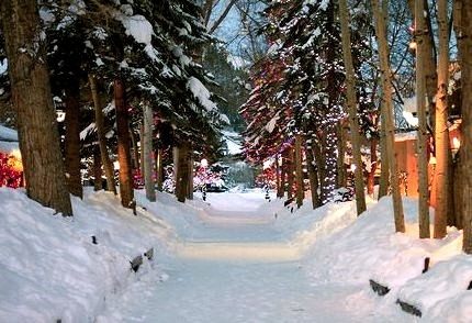 Snowy Lane, Aspen, Colorado 