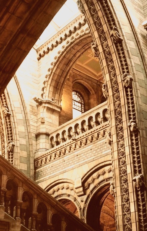 Arches, National History Museum, London